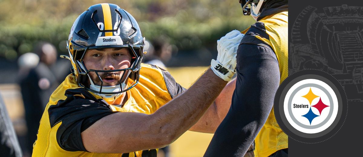 'Next man up' situation for D-line taken on the South Side (Steelers)